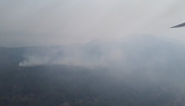 У чотирьох провінціях Туреччини вирують лісові пожежі, до їх гасіння залучають авіацію