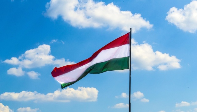 Єдина угорська нафтова компанія заявила про готовність відмовитись від російської сировини