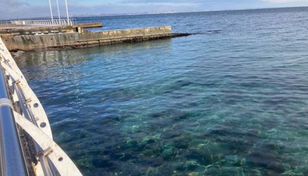 Одеське узбережжя очищується від олії, яка потрапила в море через російську атаку