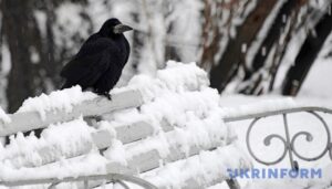 В Україні сьогодні від 14° морозу до 9° тепла, подекуди - сніг із дощем
