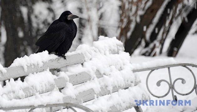 В Україні сьогодні від 14° морозу до 9° тепла, подекуди - сніг із дощем