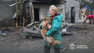 У Запоріжжі в притулку для собак від російського удару загинули 13 тварин
