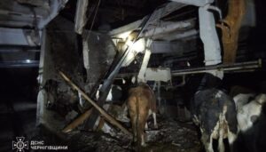 Російські дрони вночі атакували сільгосппідприємство на Чернігівщині